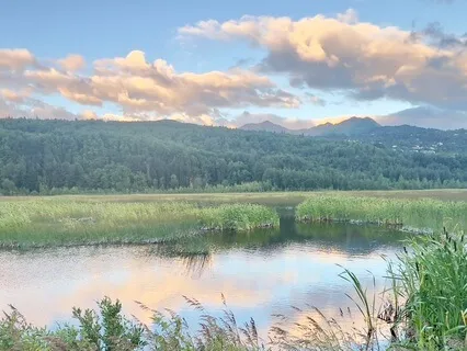 Morning Anchor For Hair Pulling