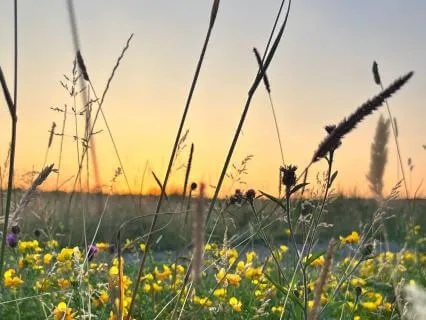 Morning Anchor: Journaling To Start Your Day Gently