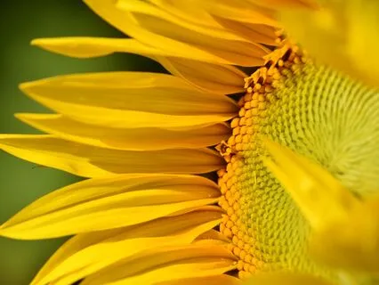 Morning Anchor: Making Room For New Possibilities