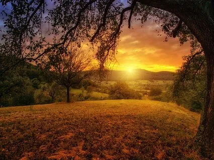 Morning Anchor: Morning Meditation