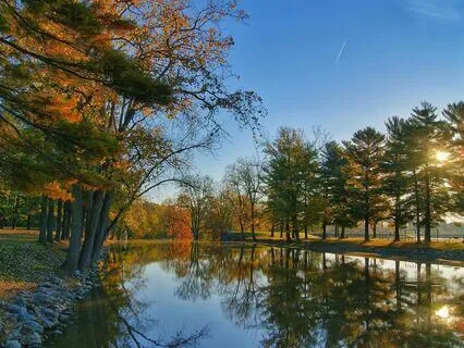 Morning Anxiety Buster