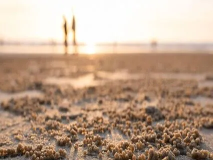 Morning Anxiety Relief