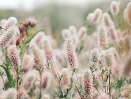 Morning Aura Cleanse