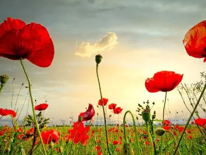 Morning Awareness: Gratitude For Our Ambitions