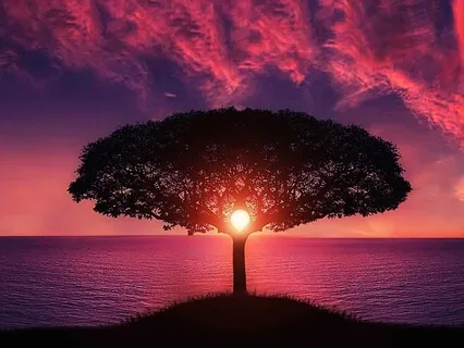 Morning Background Music