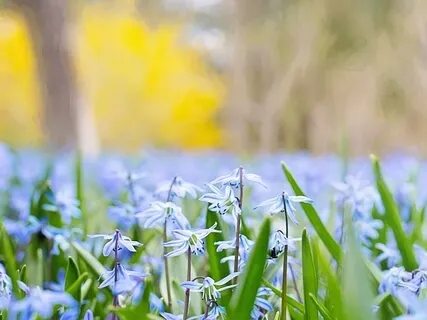 Morning Blessing Gift Of A Message