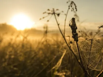 Morning Blessing Gift Of A Mixture