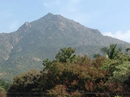 Morning Blessing Gift Of A Mountain