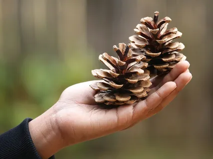 Morning Blessing Gift Of Acceptance