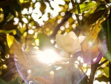 Morning Blessing Gift Of Being Wanted