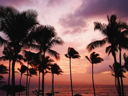 Morning Blessing Gift Of Character