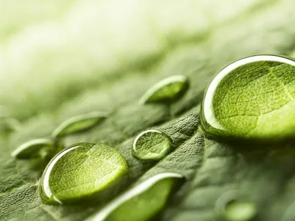 Morning Blessing Gift Of Cleanliness