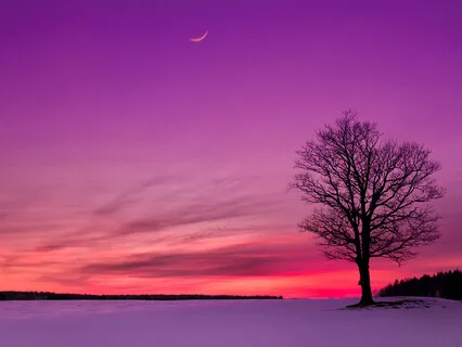 Morning Blessing Gift Of Color