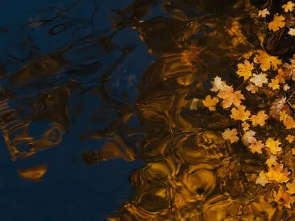 Morning Blessing Gift Of Evolution