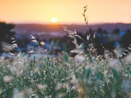 Morning Blessing Gift Of Familiarity