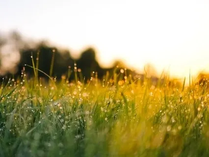 Morning Blessing Gift Of Friendship