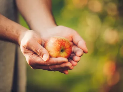 Morning Blessing Gift Of Fruition