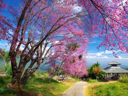 Morning Blessing Gift Of Goodbyes