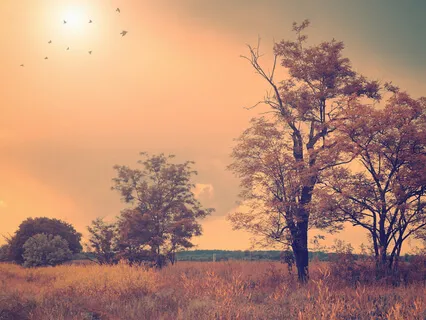 Morning Blessing Gift Of Home