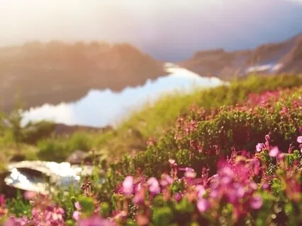 Morning Blessing Gift Of Hope