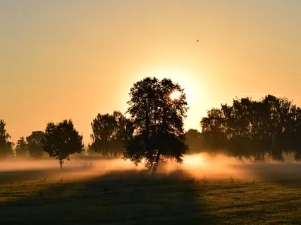 Morning Blessing Gift Of Magic