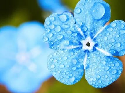 Morning Blessing Gift Of Rain