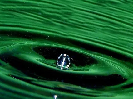 Morning Blessing Gift Of Ripples