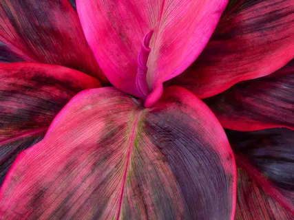 Morning Blessing Gift Of Roots Meeting The Earth