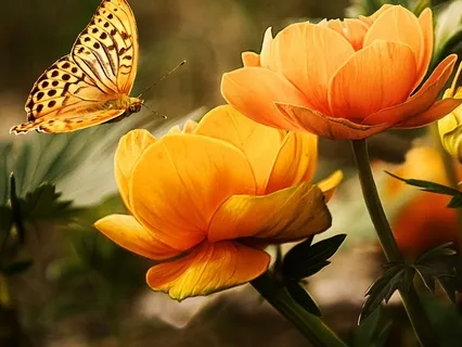 Morning Blessing Gift Of Showing Up