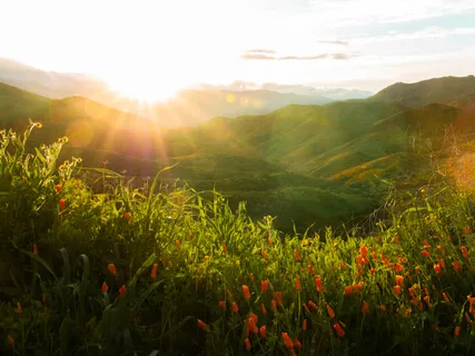 Morning Blessing Gift Of Skin