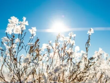 Morning Blessing Gift Of The Sacred