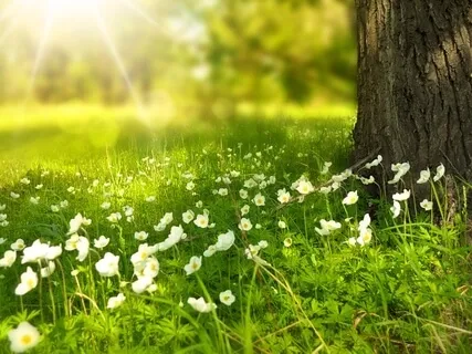 Morning Blessing Gift Of Time To Pause