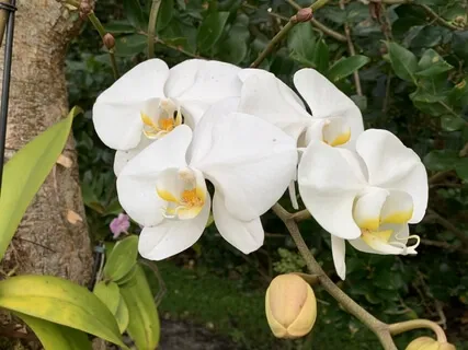 Morning Blessing Gift Of Touch 