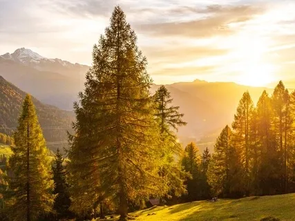 Morning Blessing Gift Of Warmth