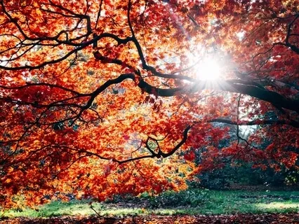 Morning Blessing Gift To Be A Friend