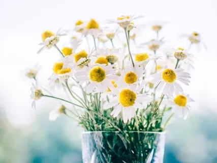 Morning Blessing Gift To Begin 