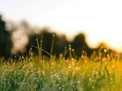 Morning Blessings Of The Celtic Dawn