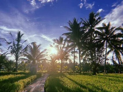 Morning Bliss Meditation