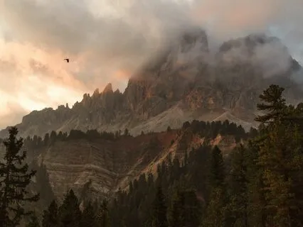 Morning Bliss - Mornings' Melody