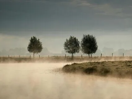 Morning Bliss Positive Energy Awaken 528 Hz