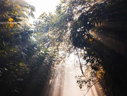 Morning Bliss: Start Your Day With Mindfulness