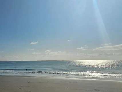 Morning Body Scan & Intention Setting.