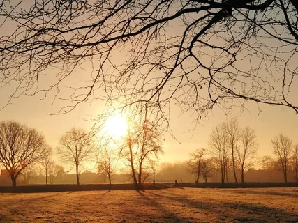 Morning Body Scan With Gentle Movement