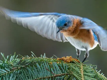 Morning Body Wake Up