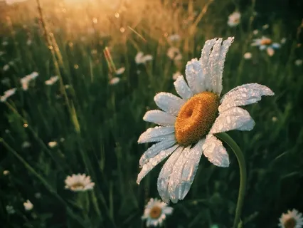 Morning Boost - Stimulating Isochronic Tones With Music