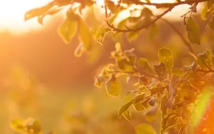 Morning Boost Meditation