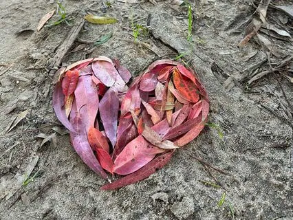 Morning Breath Practice For Vitality And Renewal