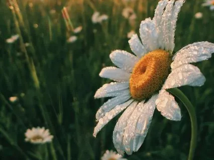 Morning Breath To Wake Your Body