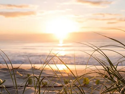 Morning Breath Work: Relieve Pain, Release Strain