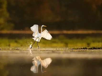 Morning Breathing Practice